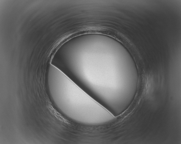 X0000085731025200703160831