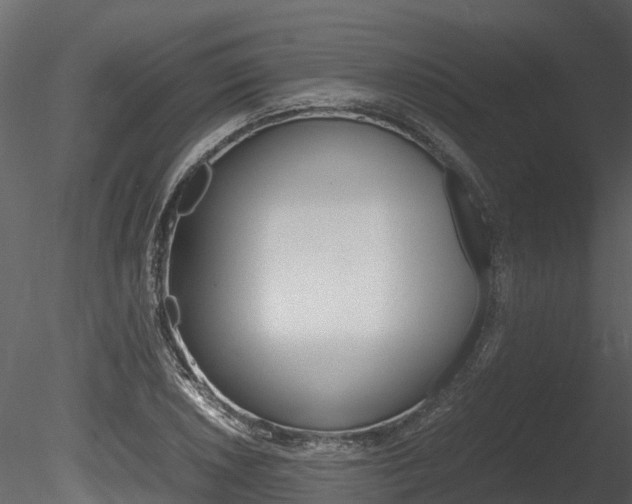 X0000085731026200703160831