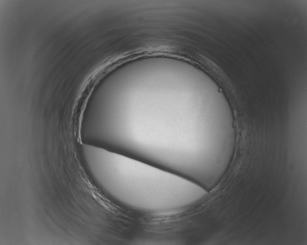 X0000085731027200703160831