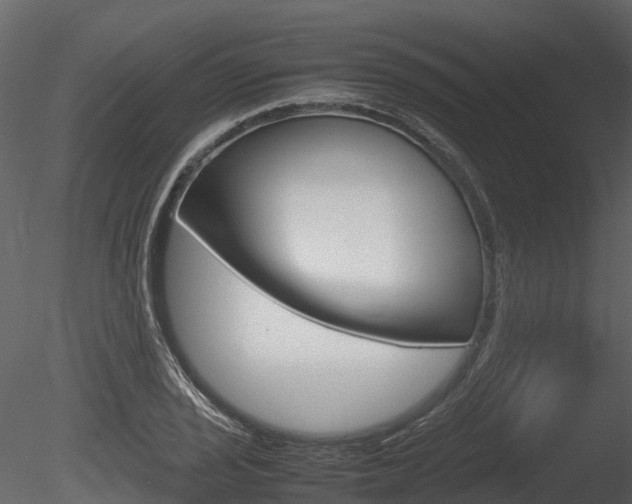 X0000085731029200703160831