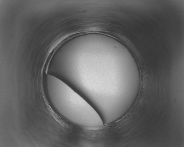 X0000085731031200703160831