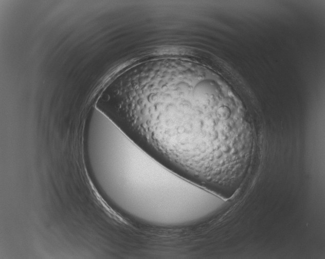 X0000085731033200703160831