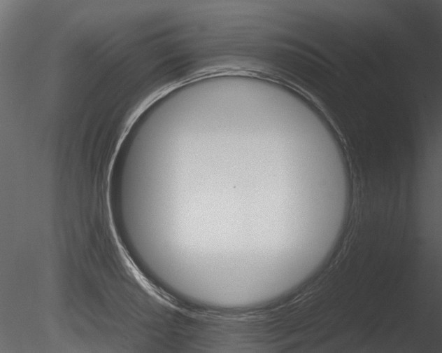X0000085731034200703160831