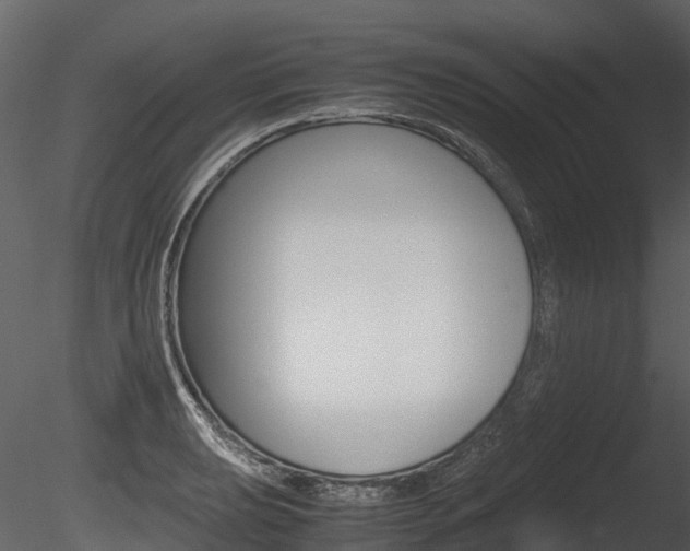 X0000085731039200703160831