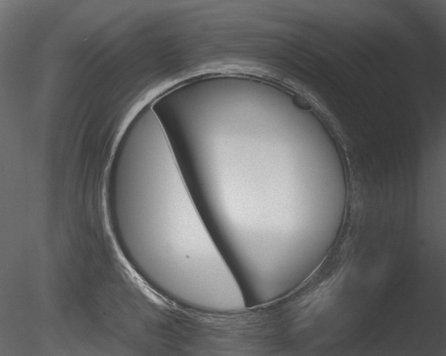 X0000085731040200703160831