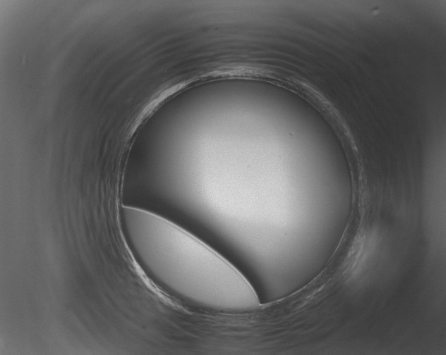 X0000085731041200703160831