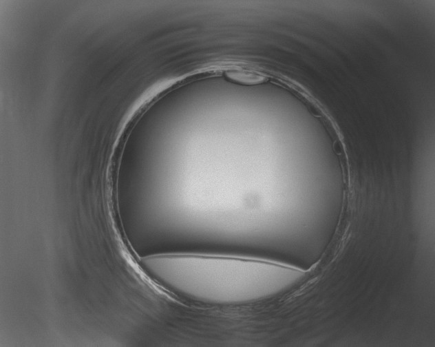 X0000085731045200703160831