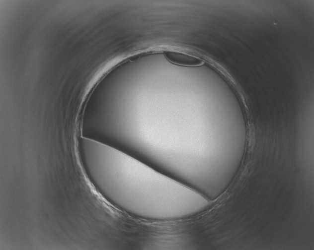 X0000085731048200703160831