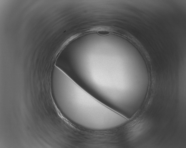 X0000085731049200703160831