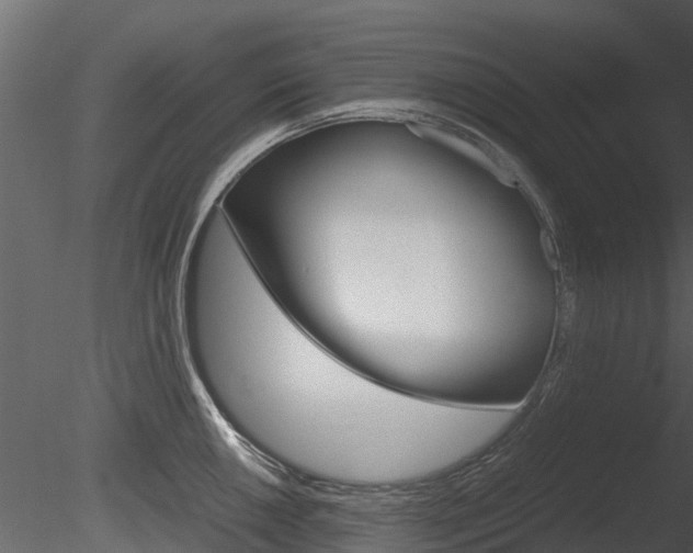 X0000085731050200703160831