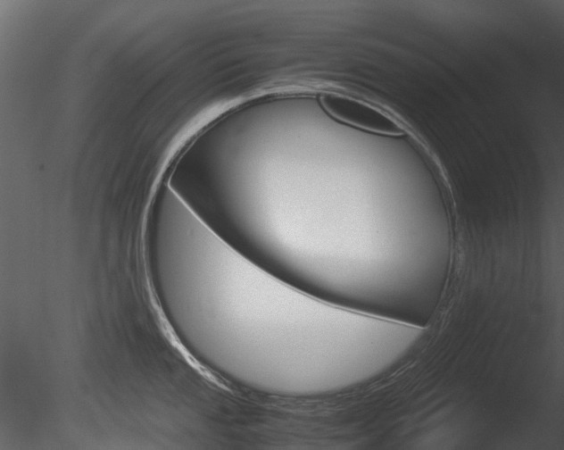 X0000085731053200703160831