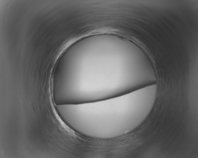 X0000085731055200703160831