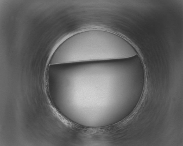 X0000085731056200703160831