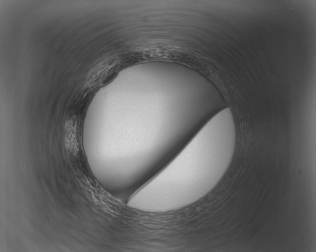 X0000085731060200703160830