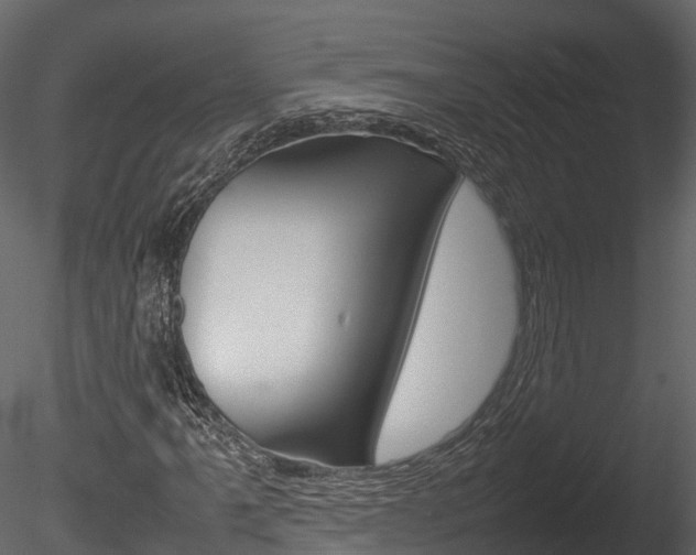 X0000085731061200703160830