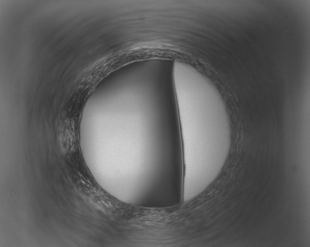 X0000085731062200703160830