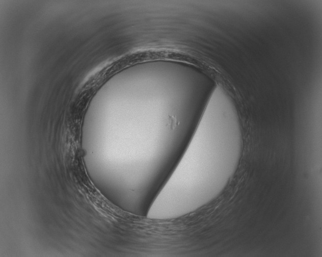 X0000085731064200703160830