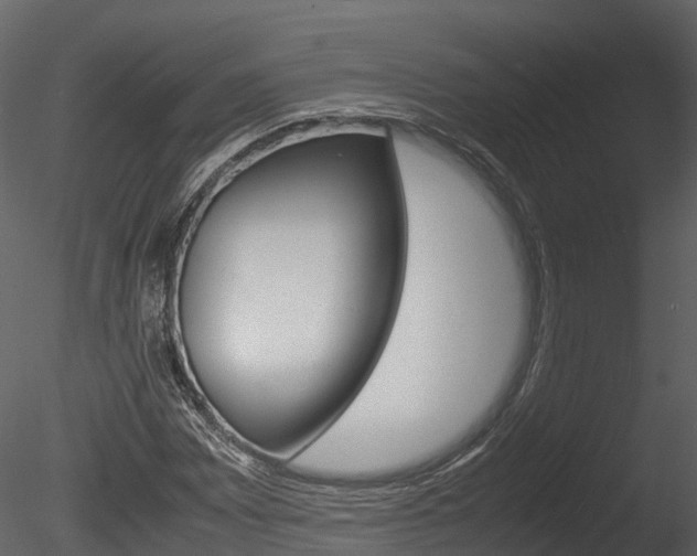 X0000085731065200703160830