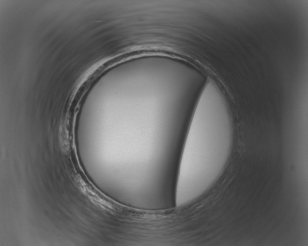 X0000085731068200703160830