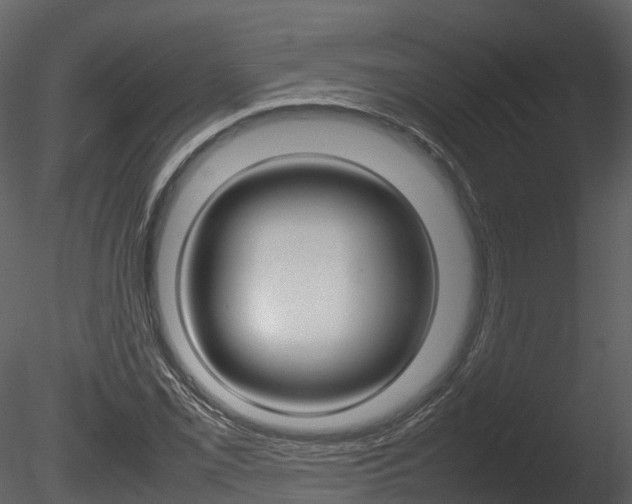 X0000085731069200703160830