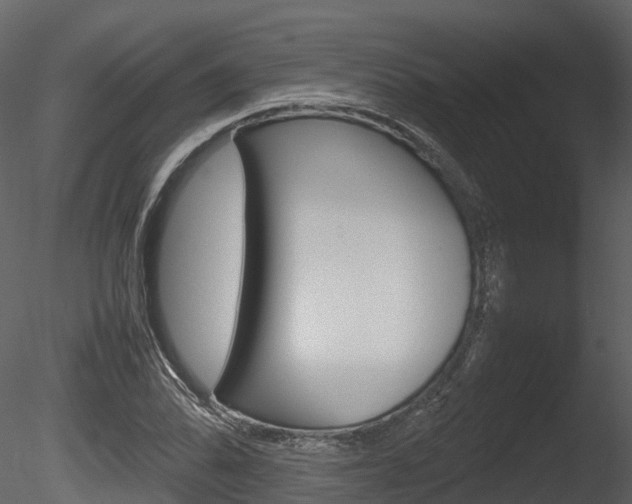 X0000085731070200703160830
