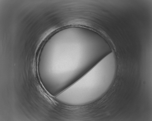 X0000085731076200703160830