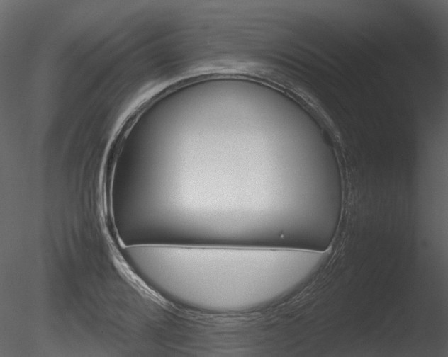 X0000085731080200703160830