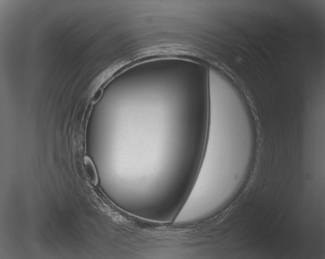 X0000085731081200703160830