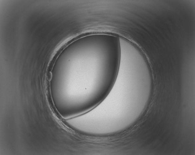 X0000085731085200703160830