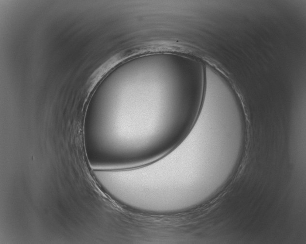 X0000085731089200703160830