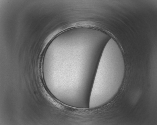 X0000085731091200703160830