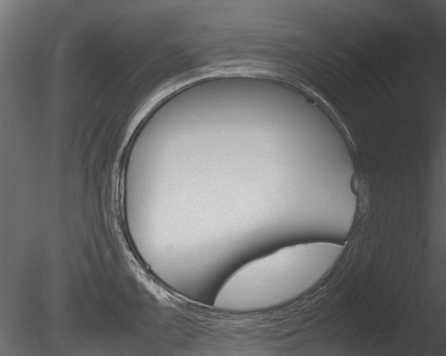 X0000085731099200703160830