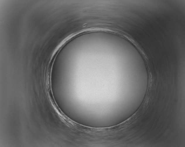 X0000085731101200703160830