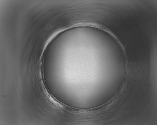 X0000085731102200703160830