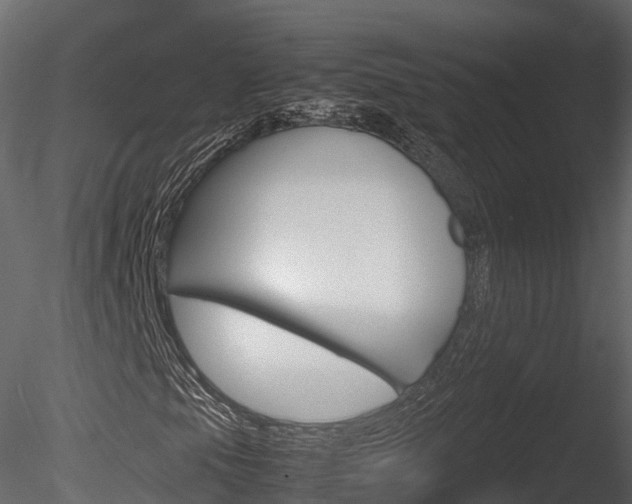 X0000085731105200703160829