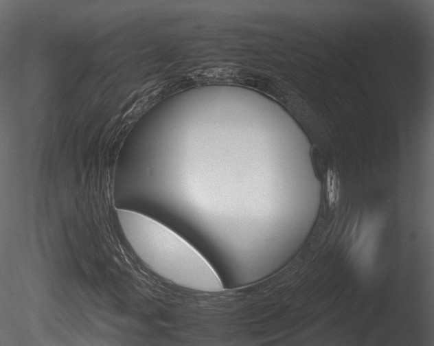X0000085731107200703160829