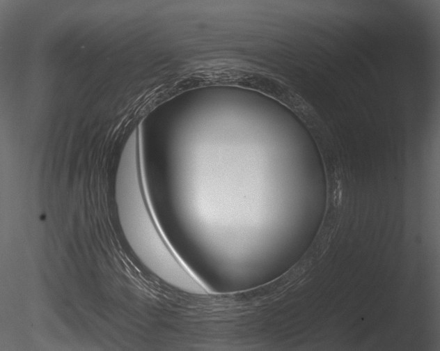 X0000085731108200703160829