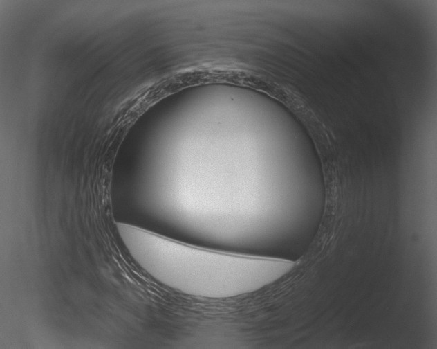 X0000085731110200703160829