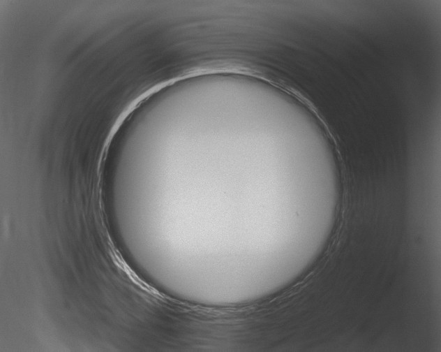 X0000085731116200703160829