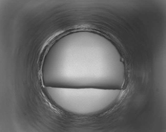 X0000085731117200703160829