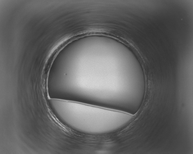 X0000085731119200703160829