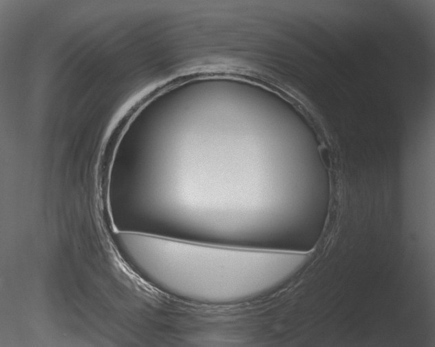 X0000085731120200703160829