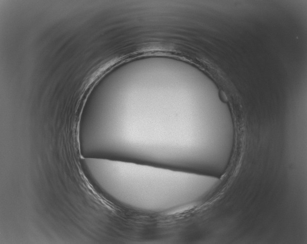 X0000085731121200703160829