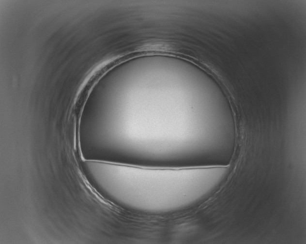 X0000085731123200703160829