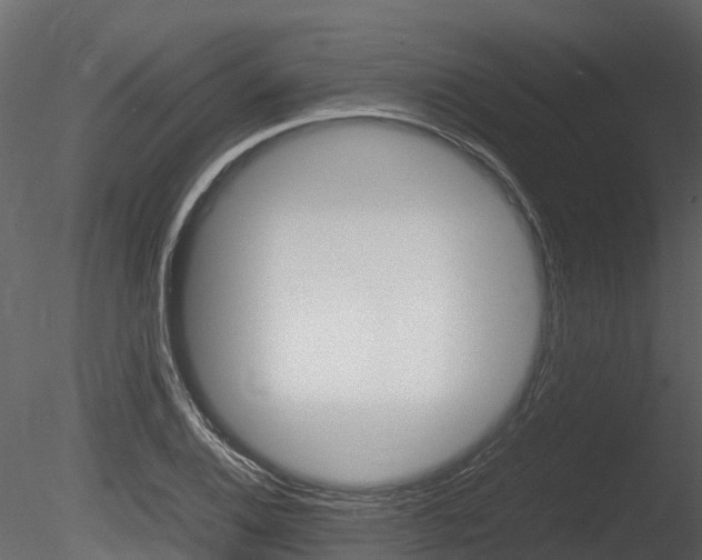 X0000085731124200703160829