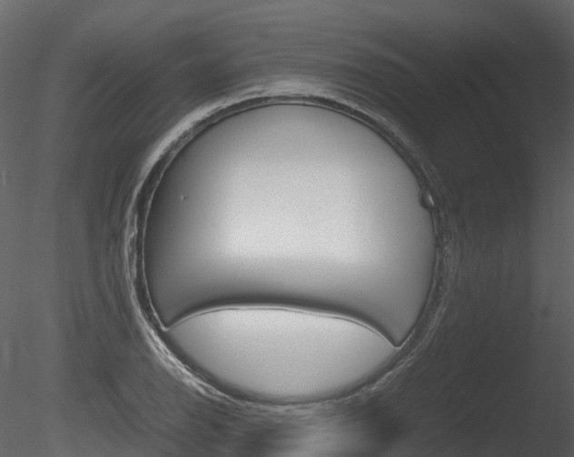 X0000085731126200703160829