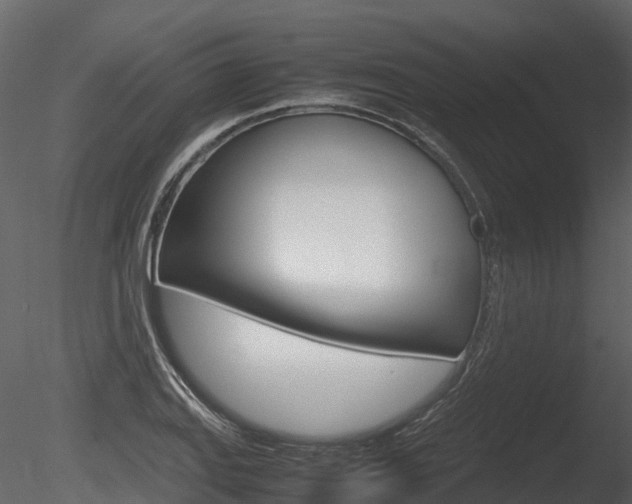 X0000085731127200703160829