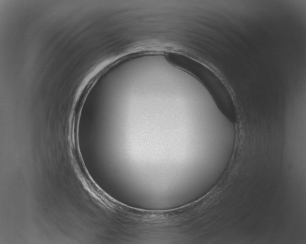 X0000085731128200703160829