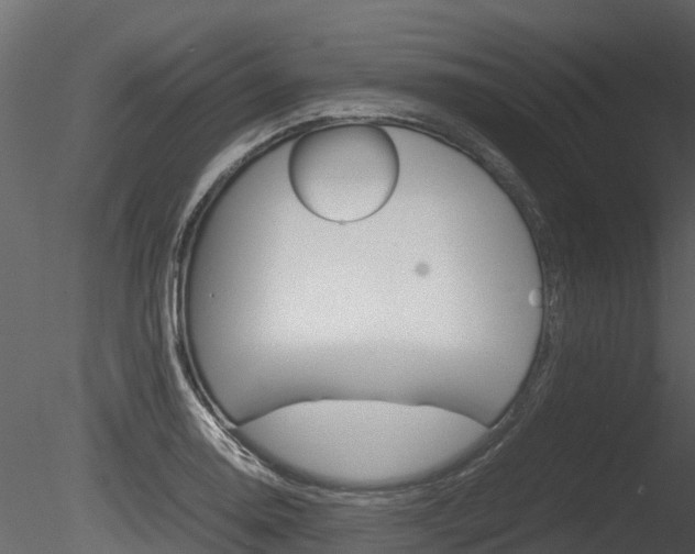 X0000085731130200703160829