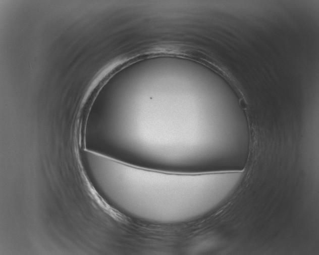 X0000085731131200703160829